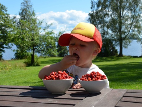 Anders Lövgren