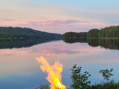 Malin björck