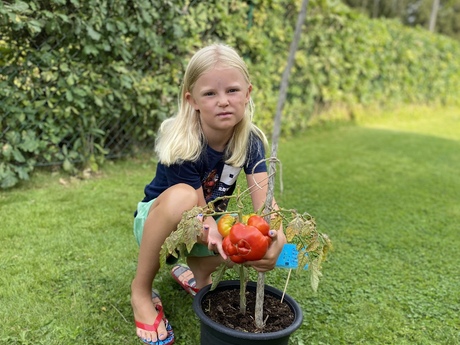 Bodil Larsson