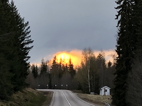 Kristina nämsjö