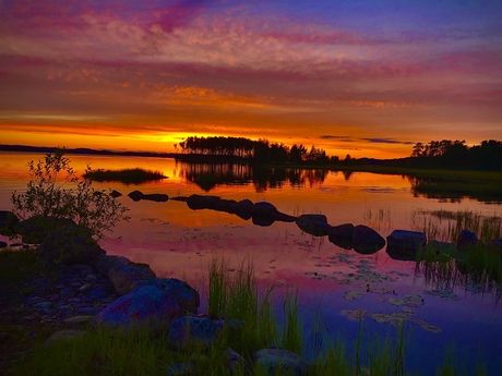 Iris Lundh