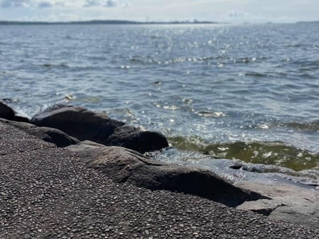Birgitta Hed