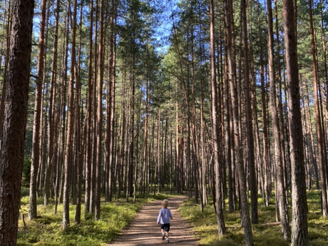 Therese Wikström Brask