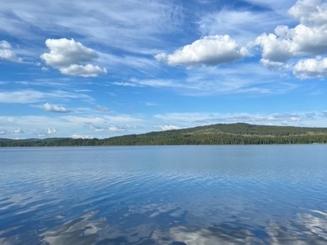 Lotta Ståhlberg